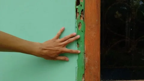 Hand pointing at severe termite damage on a green wooden door frame. Stock Footage 333182928