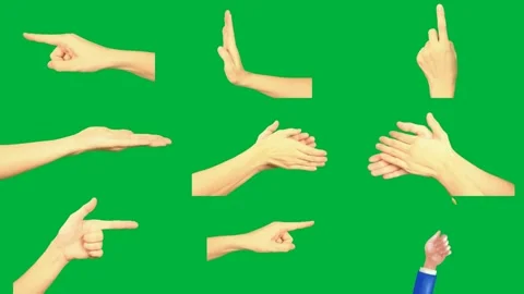 Hand Holding Something Green Screen Stock Footage ~ Royalty Free Stock ...