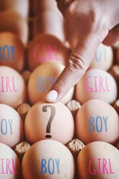 Hand points to egg. Gender or Sex selection Stock Photos