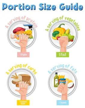 Hand Portion Size Guide for Healthy Eating Illustrazione stock