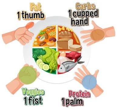 Hand Portion Size Guide for Healthy Eating Illustrazione stock
