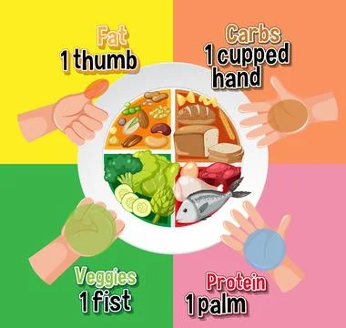 Hand Portion Size Guide for Healthy Eating Illustrazione stock