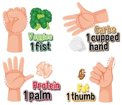 Hand Portion Size Guide for Healthy Eating Illustrazione stock