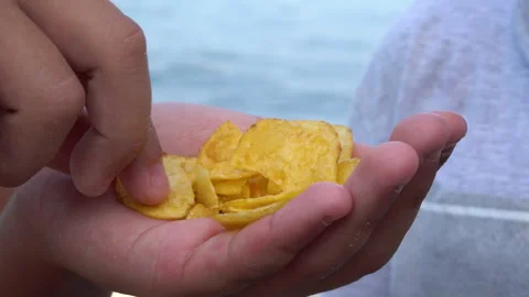 Hand with potato chips 4K Stock-Footage 158032270