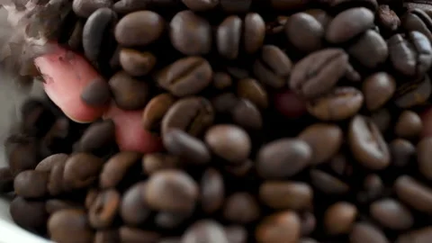 Hand pouring and screening of roasted coffee bean Stock Footage 159133871