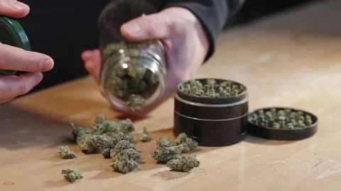 Hand pouring dried cannabis buds from glass jar beside metal grinder Stockbeeldmateriaal 333444953