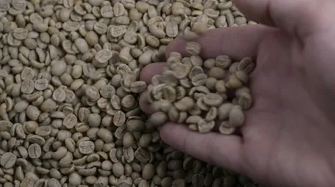 Hand Pouring raw coffee into more green beans 1 Stock Footage 53254501