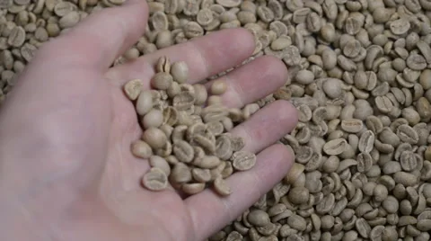 Hand Pouring raw coffee into more green beans 2 Stock Footage 53254615