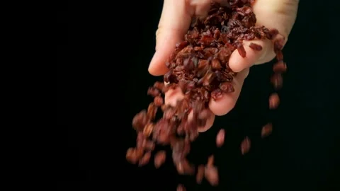 Hand pouring red dried barberry on black background slow motion Stock Footage 280476145