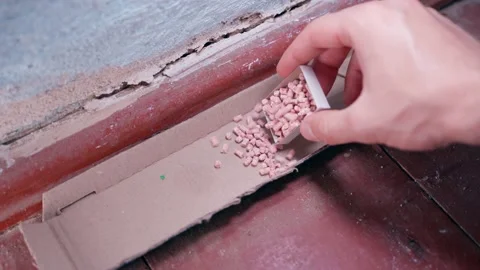 A hand pours pink, granular rodent poison onto cardboard on the wooden floor in Stock Footage 207621853
