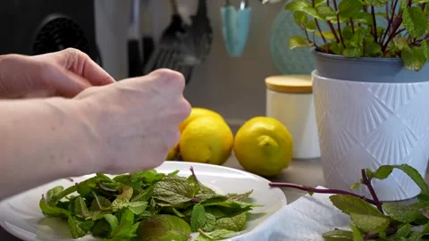 Hand Preparing Fresh Mint Leaves For Arabian Summer Mint Lemonade Stock Footage 340391706