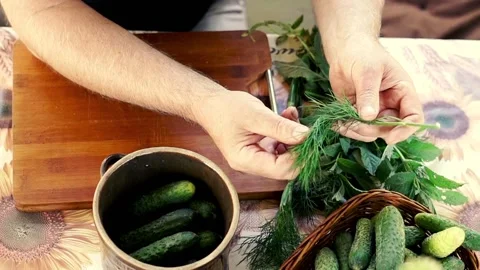 Hand preparing pickled cucumbers in the garden, 120fps, top view Stock Footage 129919861