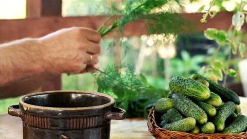 Hand preparing pickled cucumbers in the garden, 120fps Stock Footage 129920051
