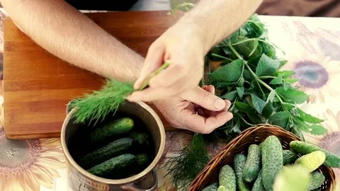 Hand preparing pickled cucumbers in the garden, 120fps, top view Stock Footage 129920227