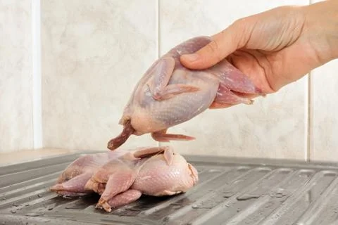 Hand preparing quails in the kitchen Stock Photos