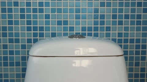The hand presses the button on the toilet Stock Footage 20588961