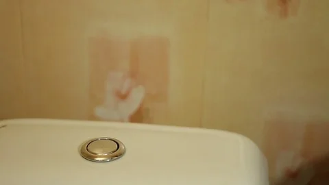 Hand presses the toilet flush button Stock Footage 73450160