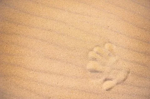 Hand print in the sand of a beach Foto stock