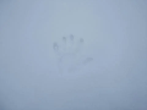 Hand Print in Snow. Stock Photos