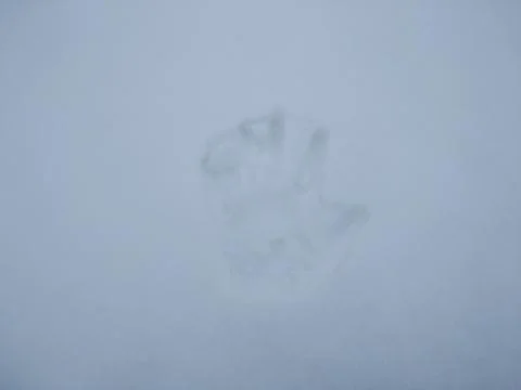 Hand Print in Snow. Stock Photos
