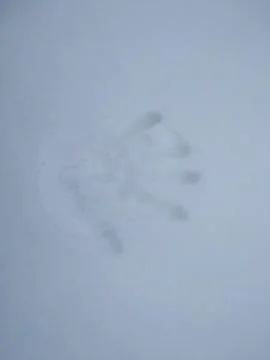 Hand Print in Snow. Stock Photos