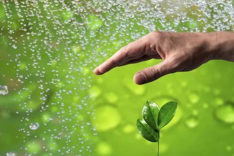 Hand protecting small sprout from spring rain. Protection, security, finance  스톡 사진