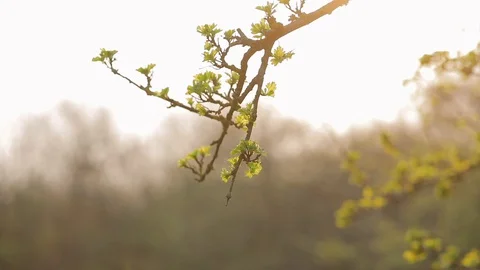 Hand in a protective glove, infection by touch Stock Footage 127664458
