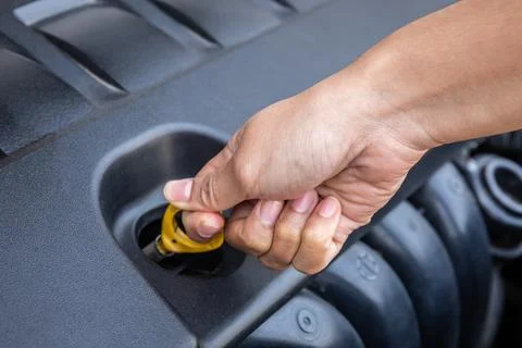 Hand pull the check engine oil to see the oil level. Stock Photos