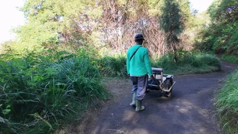 Hand Pulled Cart Transporting Down Volcanic Trail Stock Footage 345199095