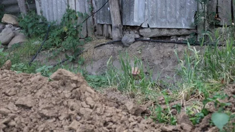 Hand pulled out of the grave Stock Footage 312874954