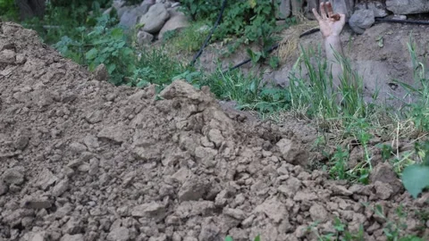 Hand pulled out of the grave Stock Footage 312874999