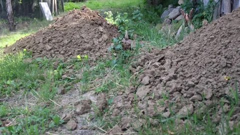 Hand pulled out of the grave Stock Footage 312875695