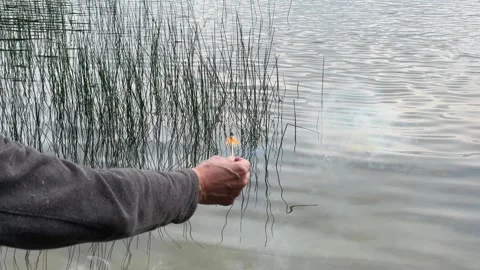 Hand pulling a burning match from lake water. Flame continuing to glow afte.. Stock Footage 342541586