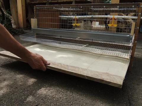 Hand pulling out tray of bird cage Stock Photos