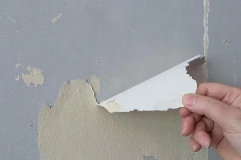 Hand pulling peeling old wallpaper off a plasterboard wall. Stock Photos