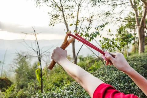Hand pulling slingshot to shoot tree seed into forest. Stock Photos