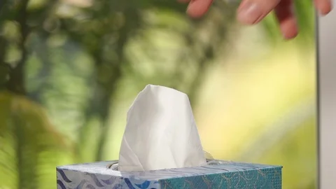 Hand pulling tissue from box Stock Footage 106688868