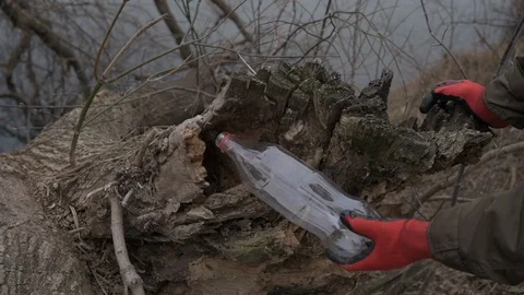 Hand pulls out a plastic bottle from a hollow tree Stock Footage 123434389