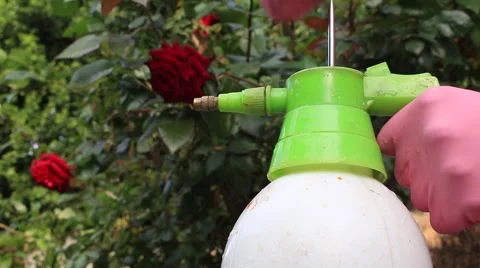 Hand-pumped sprayer Vídeo Stock 50895006