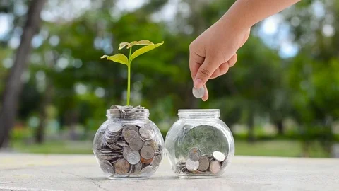 Hand Put money Bottle Banknotes tree Image of bank note with plant growing on Stock Footage 97446876