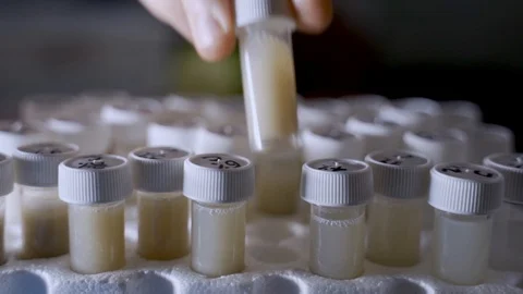 Hand puts back a lab sample and takes out another one for scientific test Stock Footage 112504006