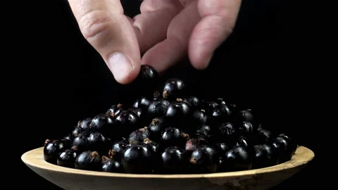 A hand puts a black currant berry on a plate in 4K. Stock Footage 136566929