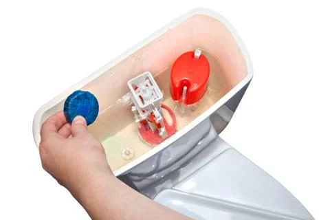 Hand puts blue cleaning tablet in toilet flush tank, close-up. 스톡 사진