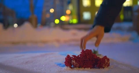 The hand puts a bouquet of beautiful red carnations  on the snow surface Stock Footage 105989255
