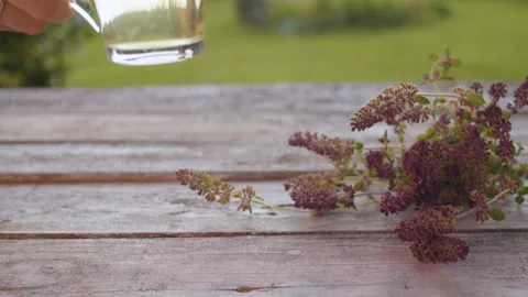Hand puts a cup of thyme tea Stock Footage 137806476