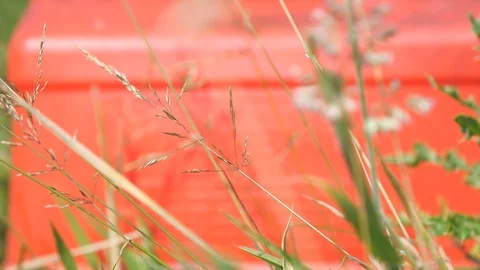 Hand puts down petrol can Stock Footage 114175477