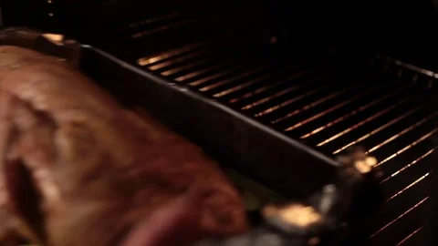 Hand Puts Duck in the Oven for Roasting Stock Footage 72228472
