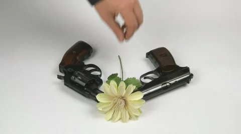 A hand puts a flower Stock Footage 10773492