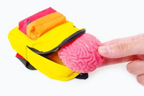 Hand Puts a Human Brain Model in a Tiny Backpack Stockfoto's