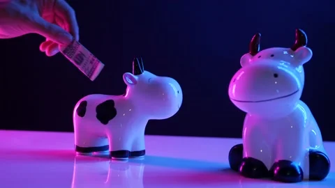 Hand puts a hundred dollar bill in a piggy Bank in the shape of a cow bull in Stock Footage 142924914